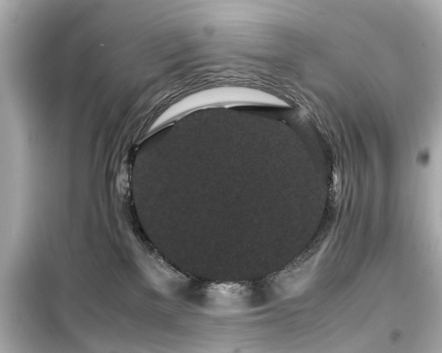 X0000099490137200805221346
