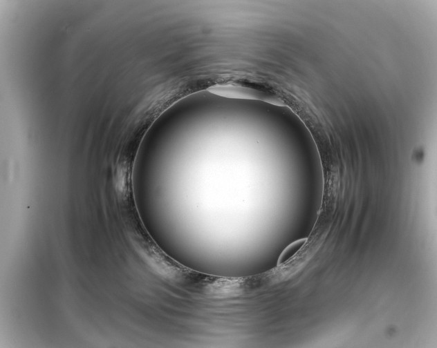 X0000099490138200805221346
