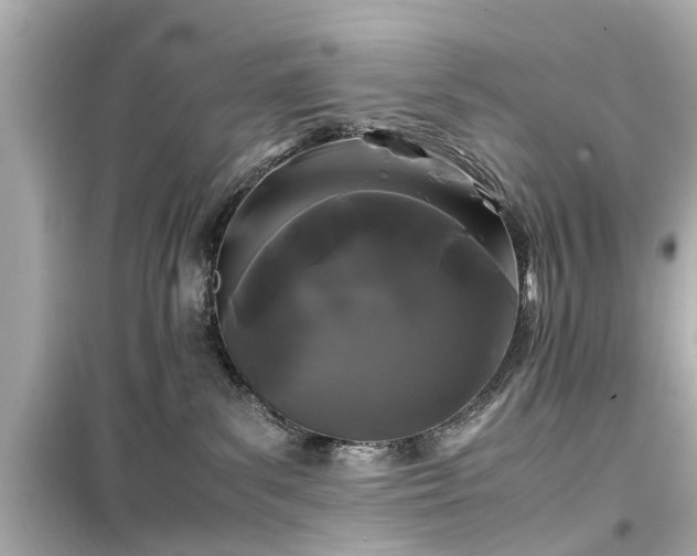 X0000099490139200805221346