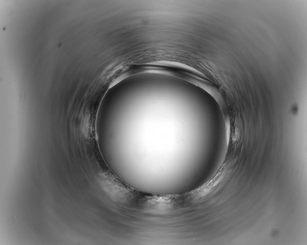 X0000099490140200805221346