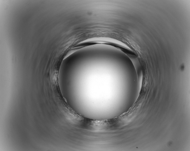 X0000099490141200805221346