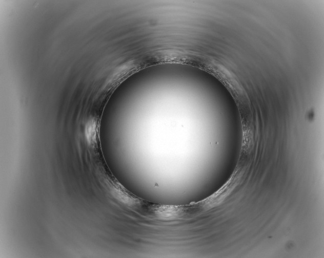 X0000099490142200805221346