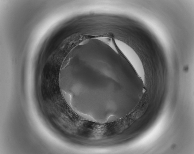 X0000099490143200805221346