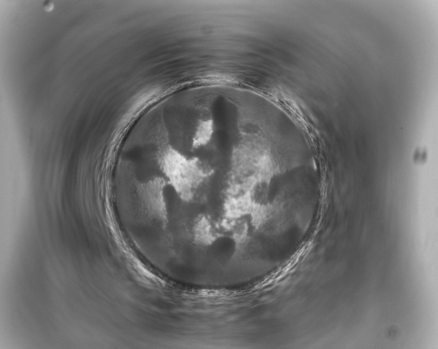 X0000099490145200805221345