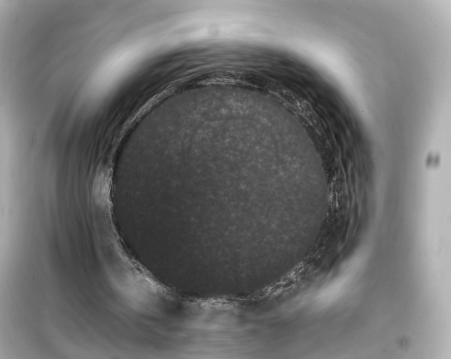 X0000099490146200805221345