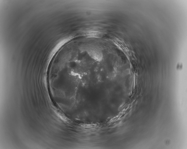 X0000099490147200805221345