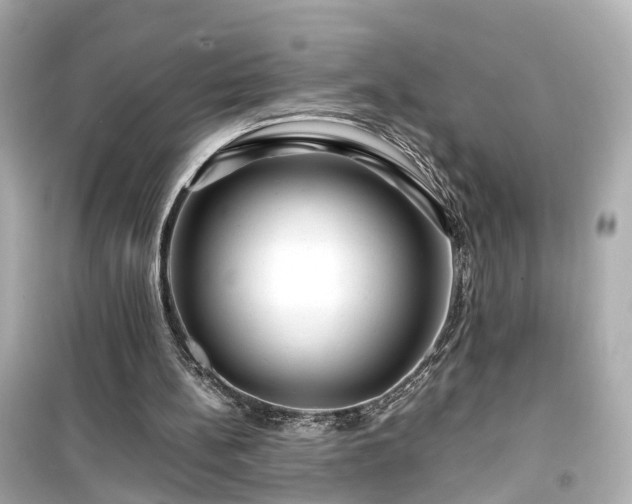 X0000099490148200805221345