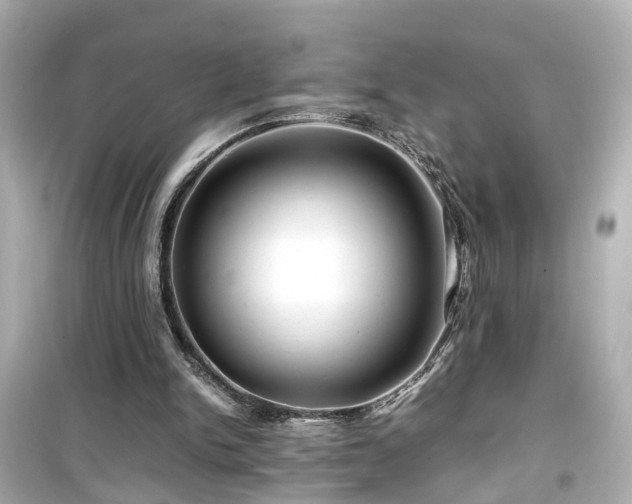 X0000099490150200805221346
