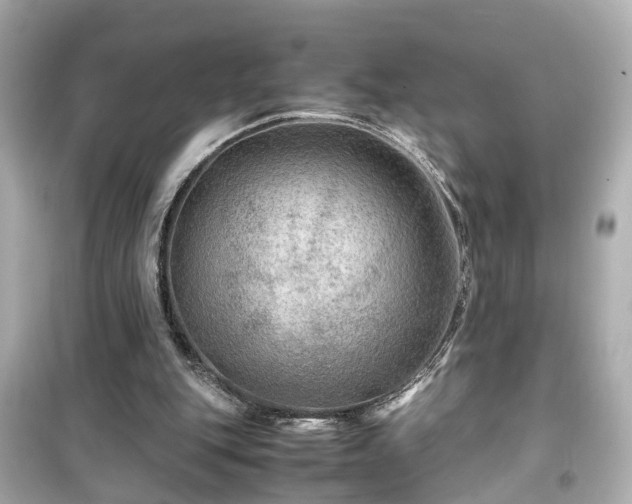 X0000099490151200805221346