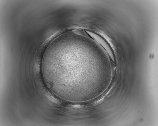 X0000099490153200805221346