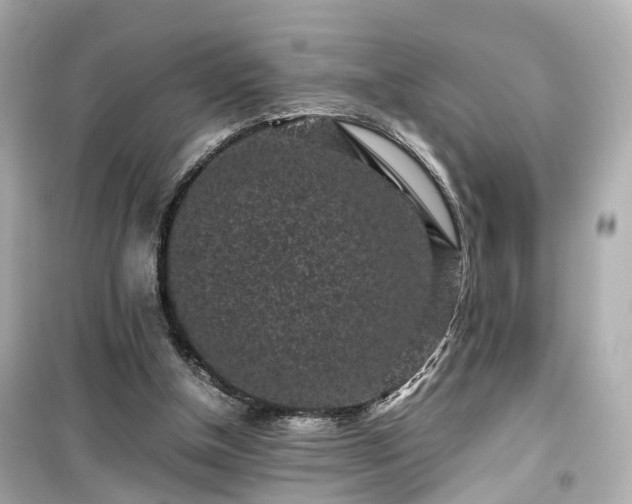 X0000099490154200805221346