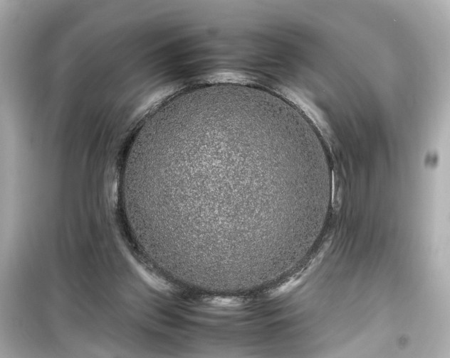 X0000099490157200805221346