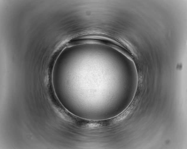 X0000099490158200805221346