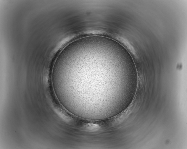 X0000099490159200805221346