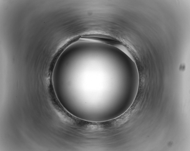 X0000099490160200805221346