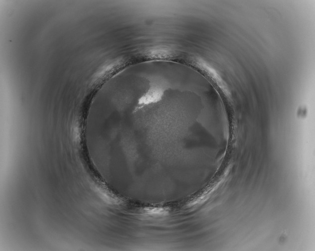 X0000099490161200805221346