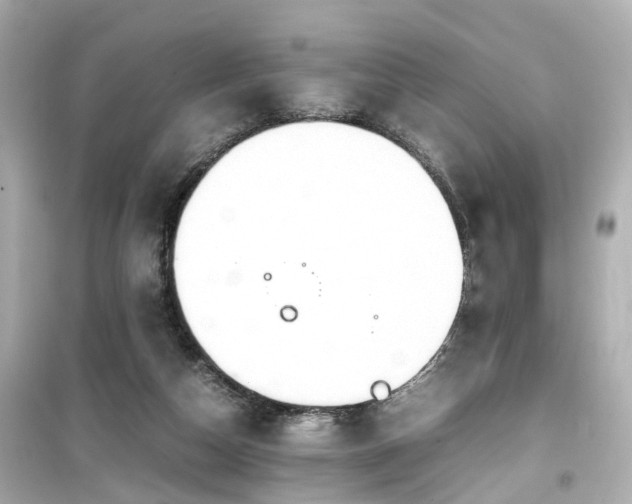 X0000099490162200805221346