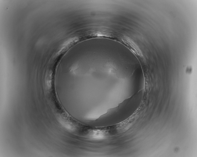 X0000099490163200805221346