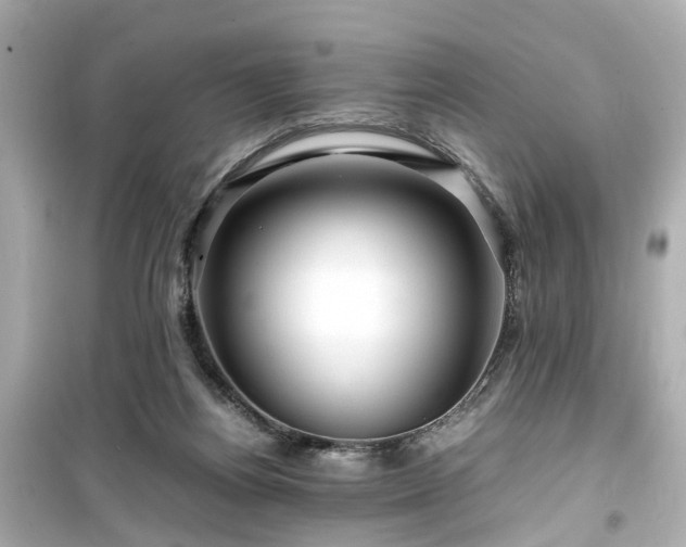 X0000099490164200805221346
