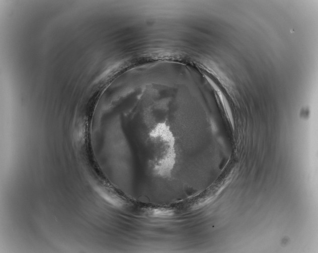 X0000099490165200805221346