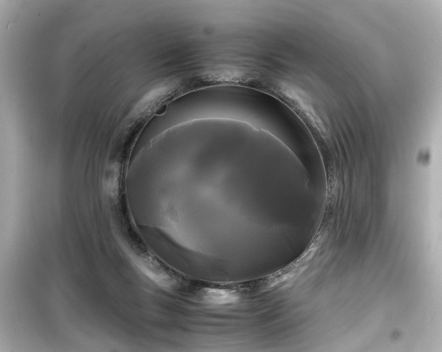 X0000099490167200805221346