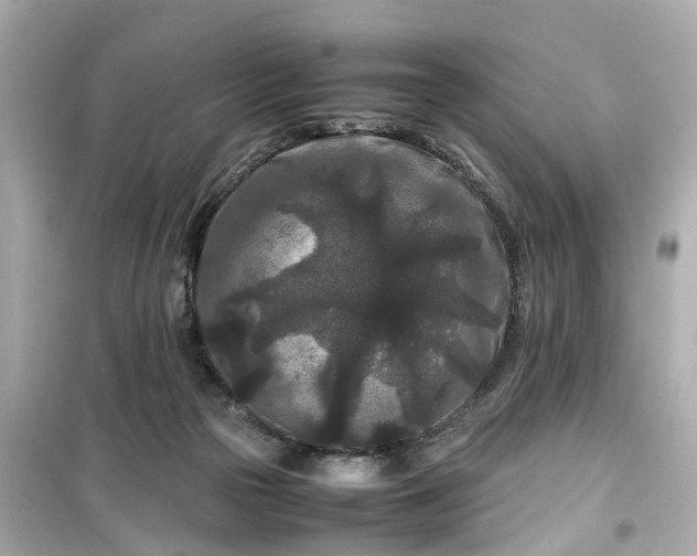 X0000099490169200805221346