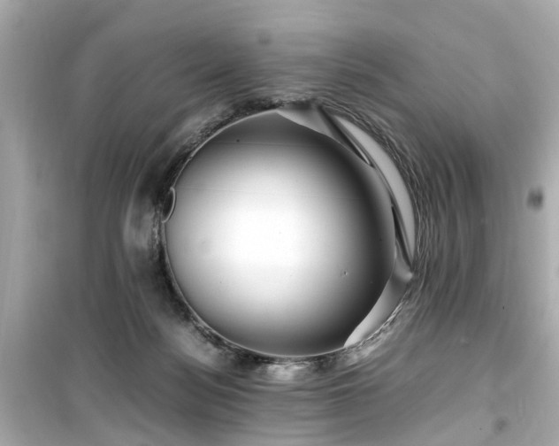 X0000099490172200805221346