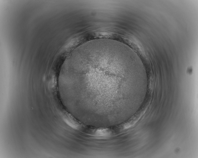 X0000099490173200805221346