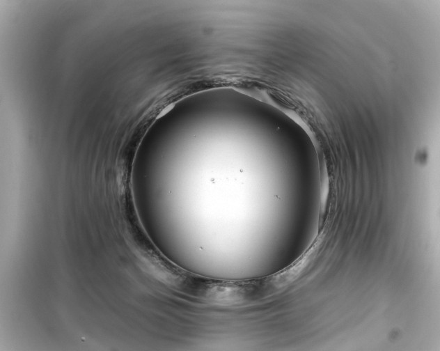 X0000099490174200805221346