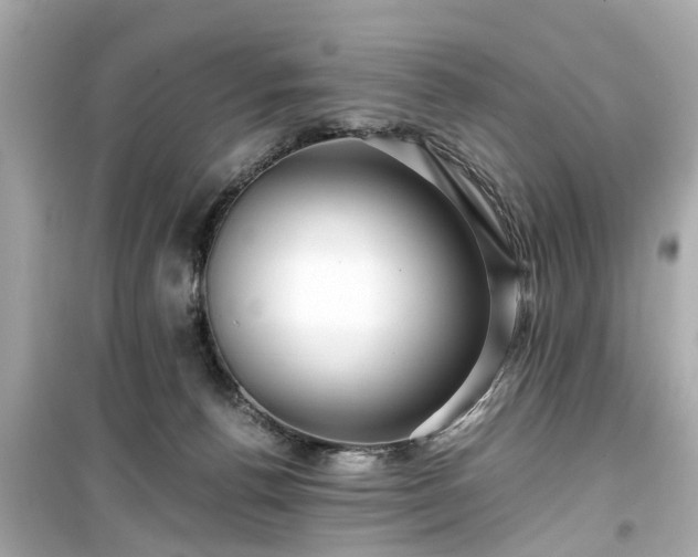 X0000099490176200805221346