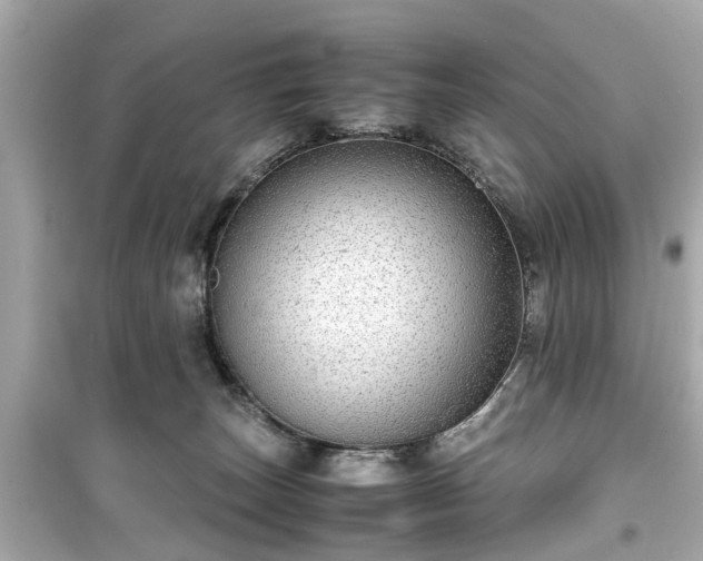 X0000099490179200805221346