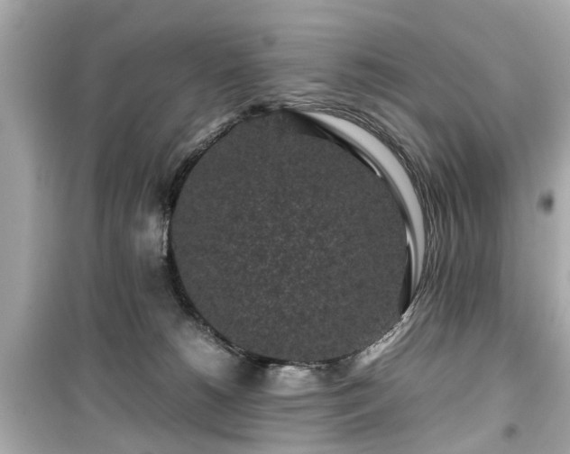 X0000099490180200805221346