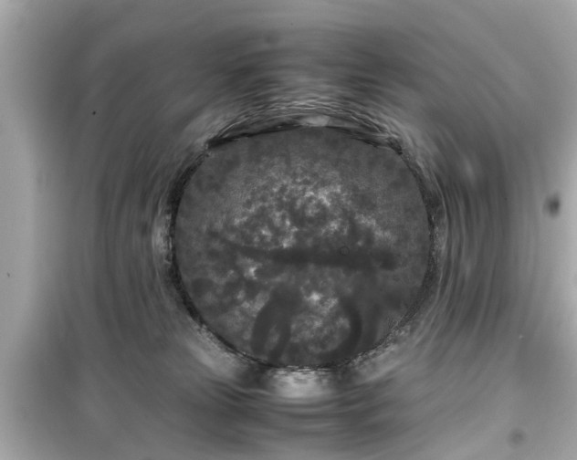 X0000099490181200805221346