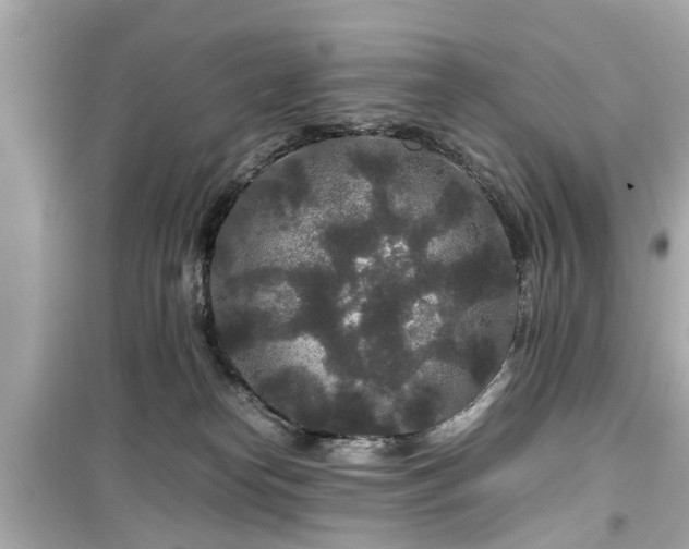 X0000099490182200805221346