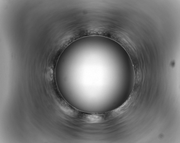 X0000099490183200805221346