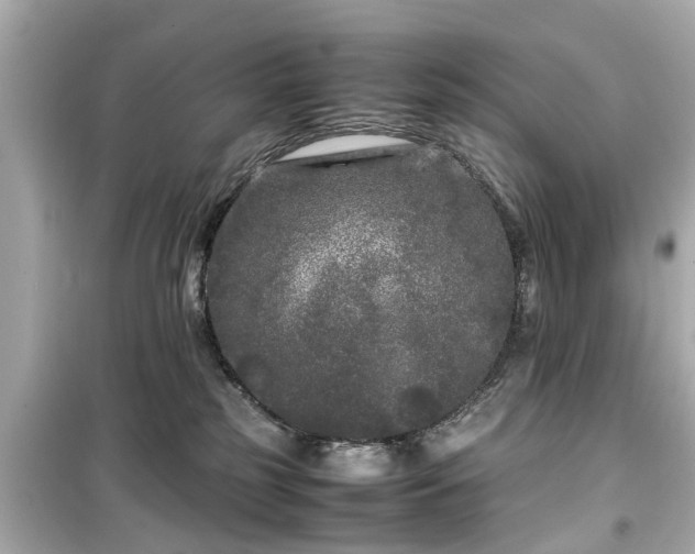 X0000099490185200805221346