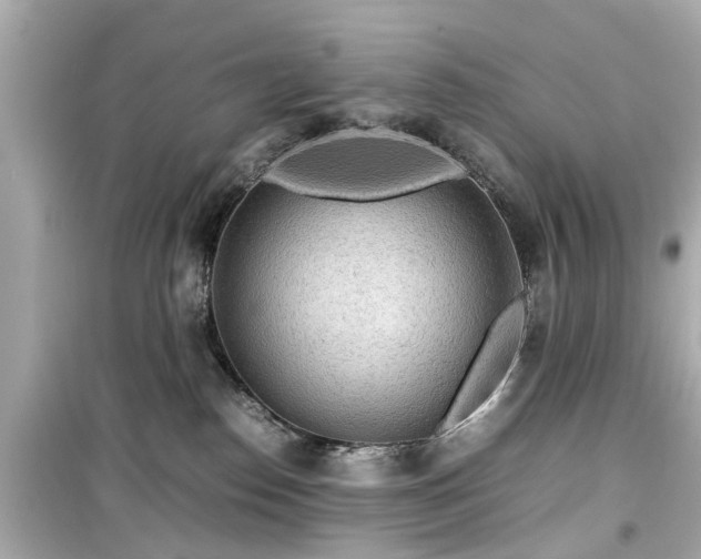 X0000099490186200805221346