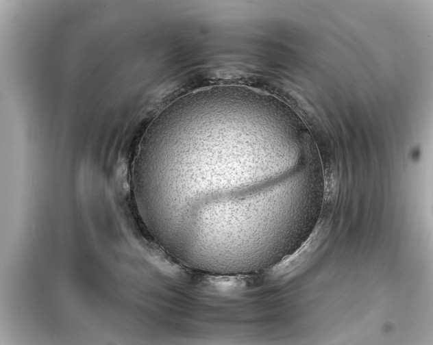 X0000099490187200805221346