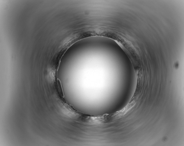 X0000099490188200805221346