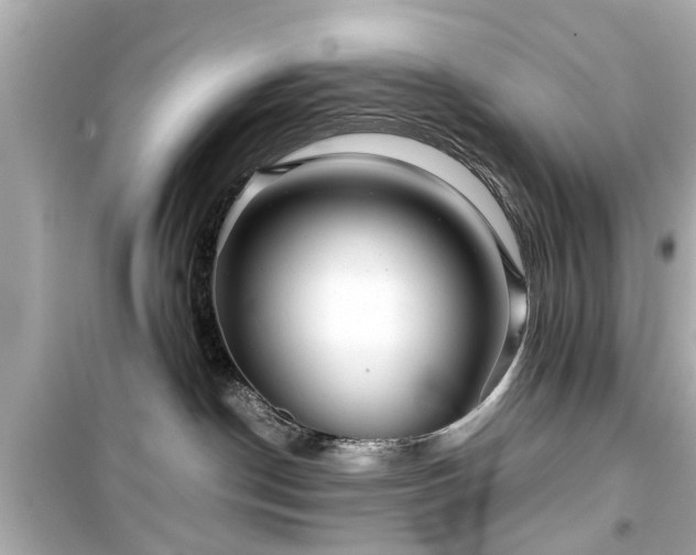 X0000099490190200805221346