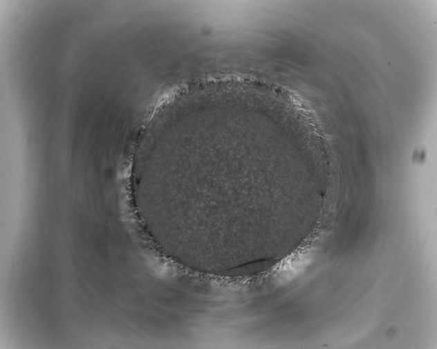 X0000099490192200805221346