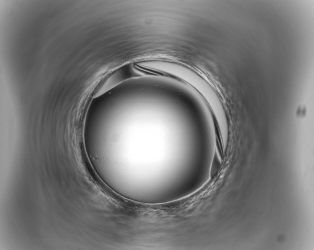 X0000099490193200805221345