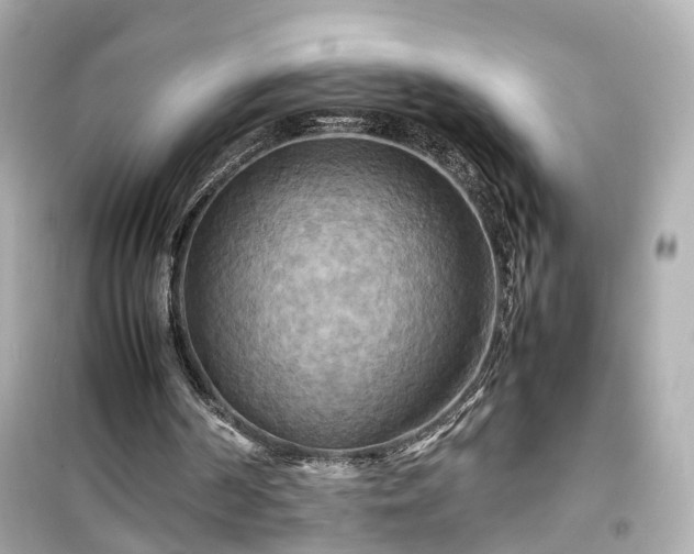 X0000099490194200805221345