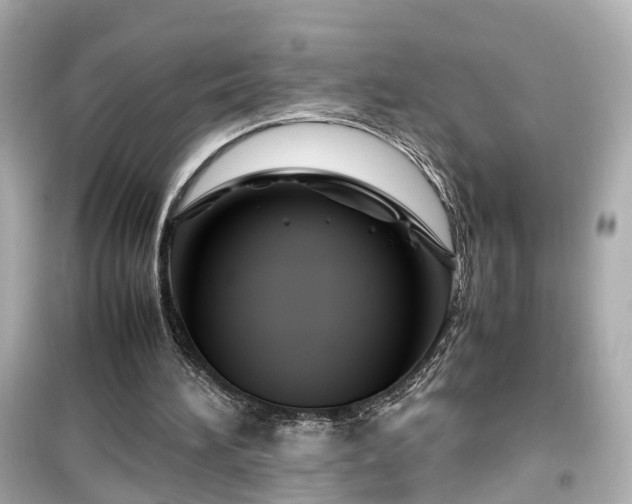X0000099490196200805221345