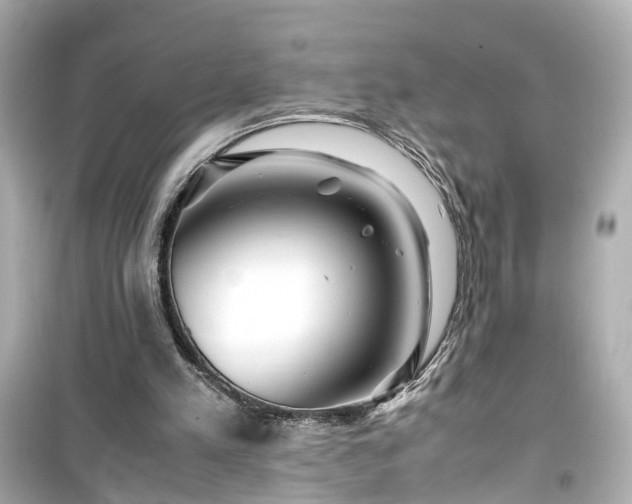 X0000099490197200805221345
