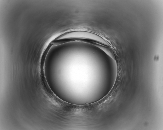 X0000099490200200805221345