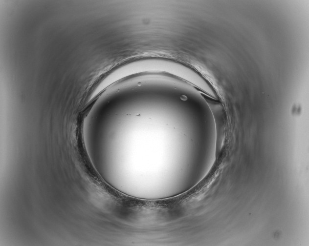 X0000099490201200805221345