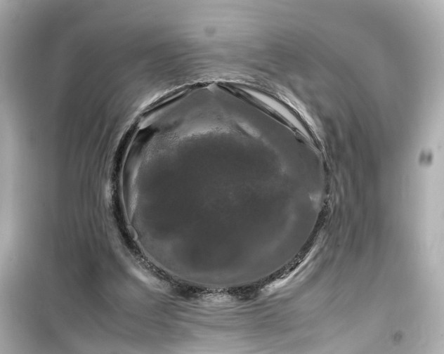 X0000099490203200805221345