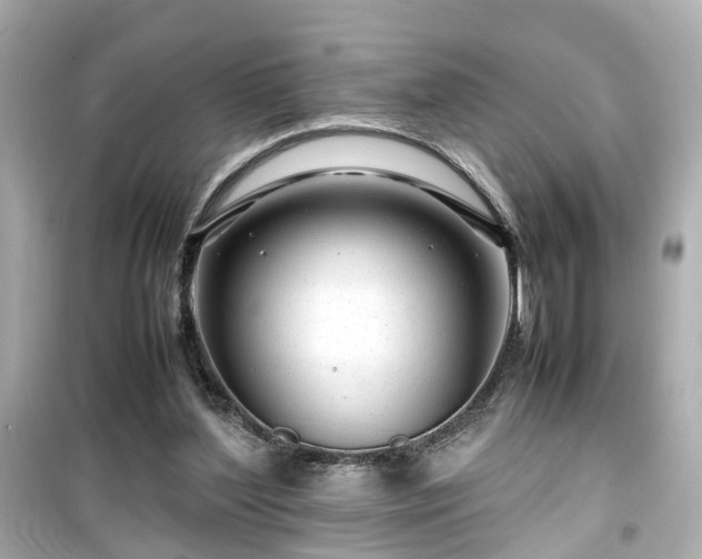 X0000099490204200805221345