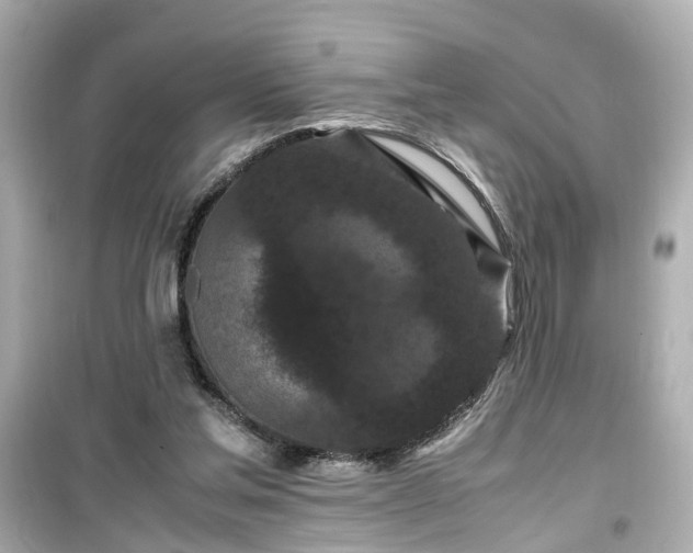 X0000099490205200805221345